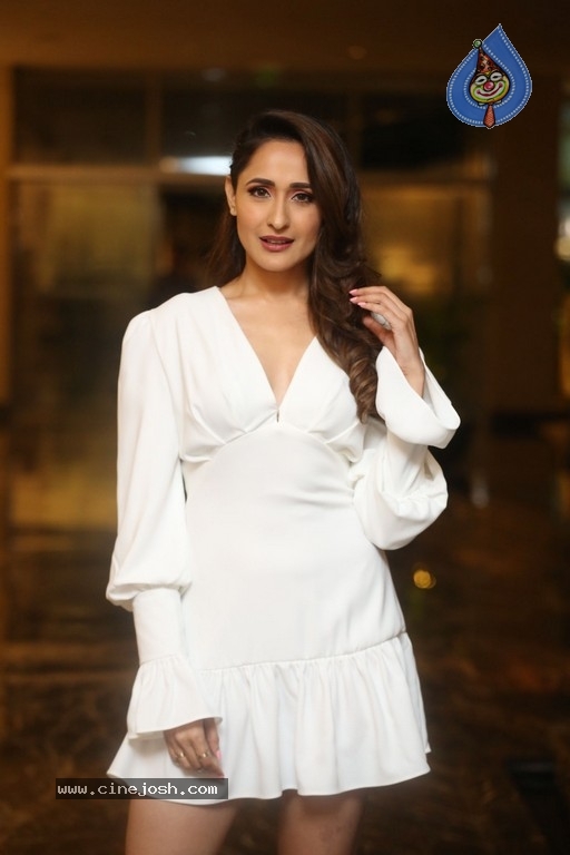 Pragya Jaiswal Photos - 15 / 21 photos