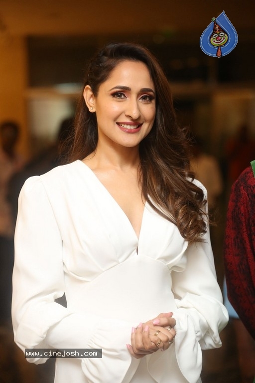 Pragya Jaiswal Photos - 17 / 21 photos