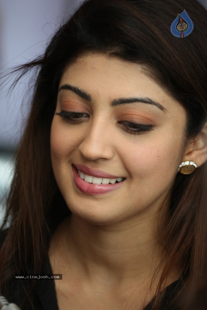Praneetha New Stills - 14 / 56 photos