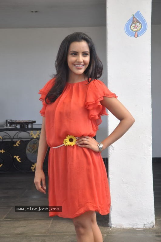 Priya Anand Photos - 46 / 53 photos