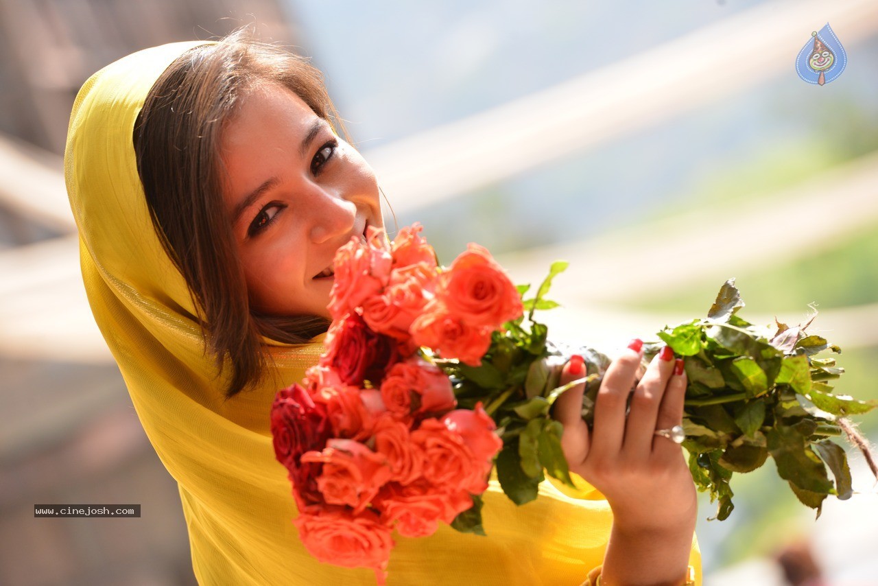 Priyal Gor New Stills - 26 / 31 photos