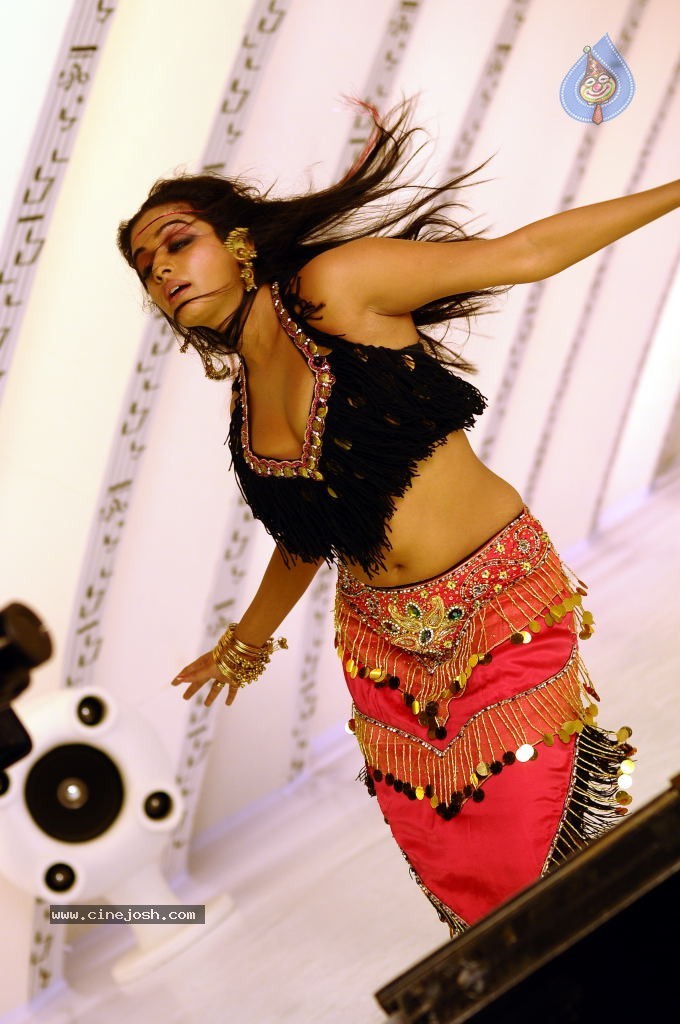 Priyamani High Resolution Stills - 33 / 45 photos