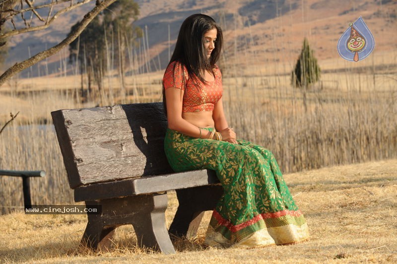 Priyamani Hot Stills In Pravarakyudu Movie  - 44 / 148 photos