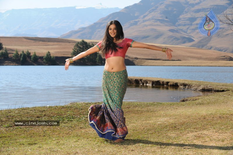 Priyamani Hot Stills In Pravarakyudu Movie  - 46 / 148 photos