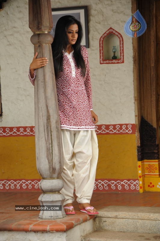 Priyamani Hot Stills In Pravarakyudu Movie  - 50 / 148 photos