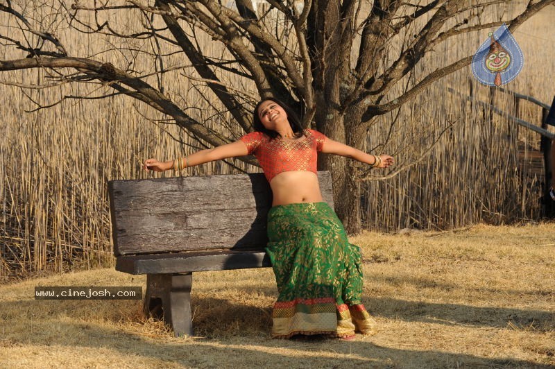 Priyamani Hot Stills In Pravarakyudu Movie  - 53 / 148 photos