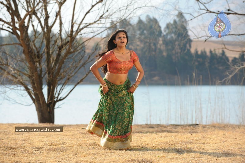 Priyamani Hot Stills In Pravarakyudu Movie  - 54 / 148 photos