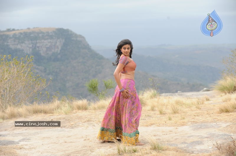Priyamani Hot Stills In Pravarakyudu Movie  - 61 / 148 photos