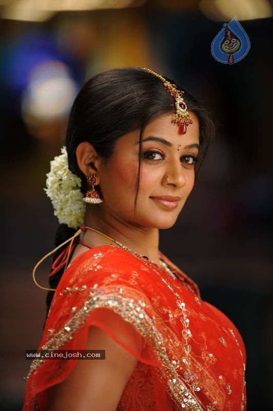 Priyamani Hot Stills In Pravarakyudu Movie  - 63 / 148 photos
