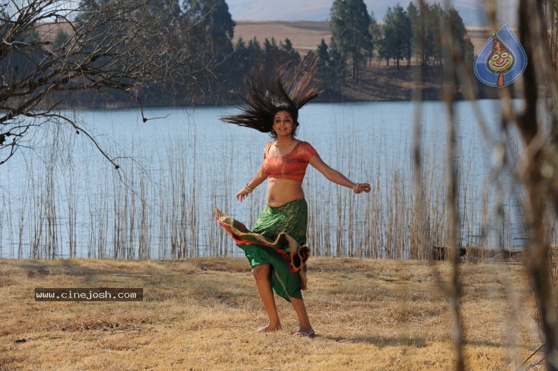 Priyamani Hot Stills In Pravarakyudu Movie  - 66 / 148 photos