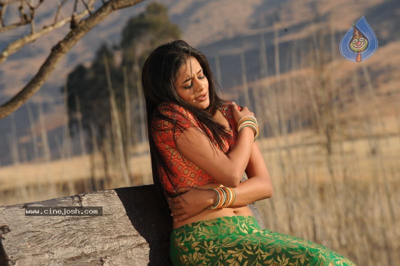 Priyamani Hot Stills In Pravarakyudu Movie  - 70 / 148 photos