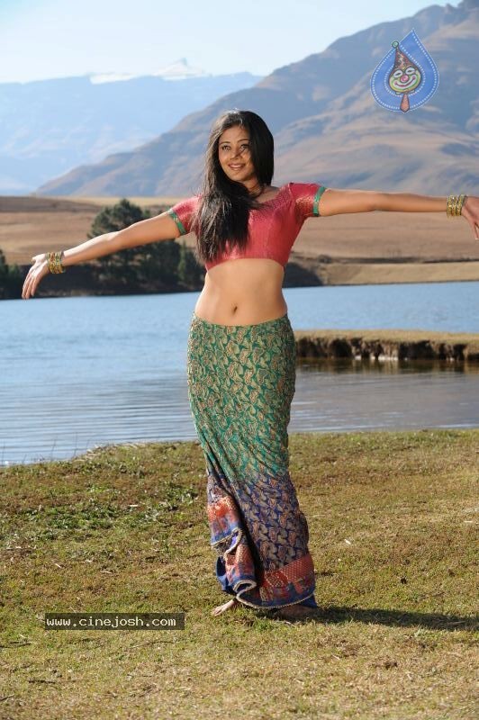 Priyamani Hot Stills In Pravarakyudu Movie  - 74 / 148 photos