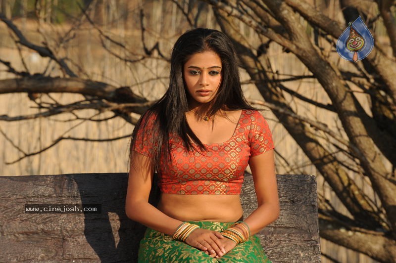 Priyamani Hot Stills In Pravarakyudu Movie  - 75 / 148 photos