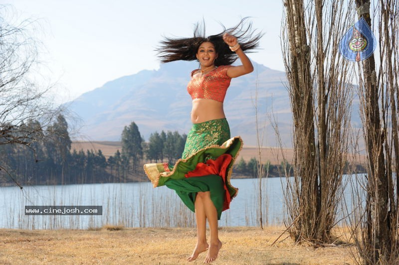 Priyamani Hot Stills In Pravarakyudu Movie  - 84 / 148 photos