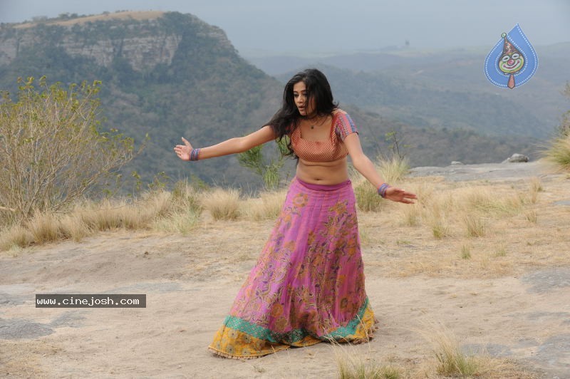 Priyamani Hot Stills In Pravarakyudu Movie  - 86 / 148 photos