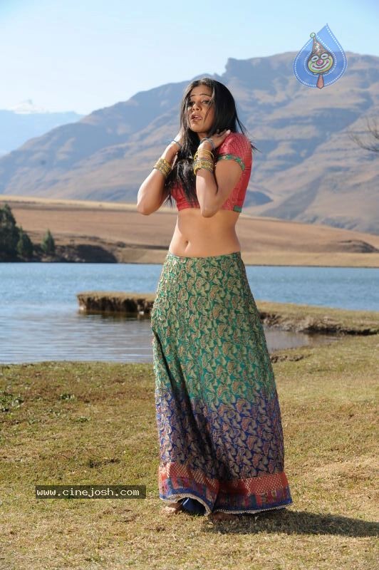 Priyamani Hot Stills In Pravarakyudu Movie  - 88 / 148 photos