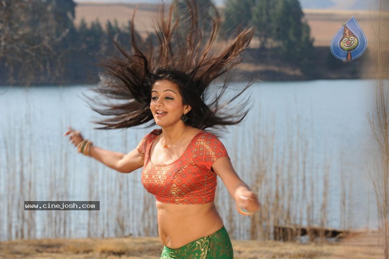 Priyamani Hot Stills In Pravarakyudu Movie  - 118 / 148 photos
