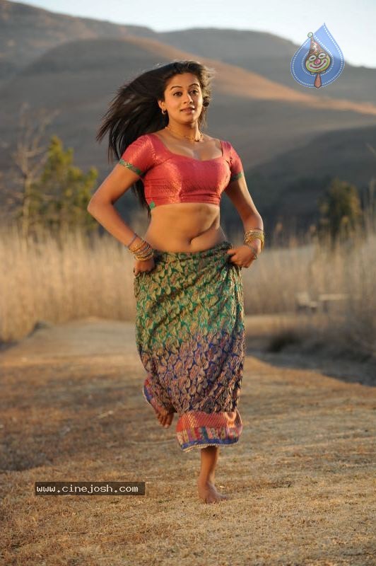 Priyamani Hot Stills In Pravarakyudu Movie  - 130 / 148 photos