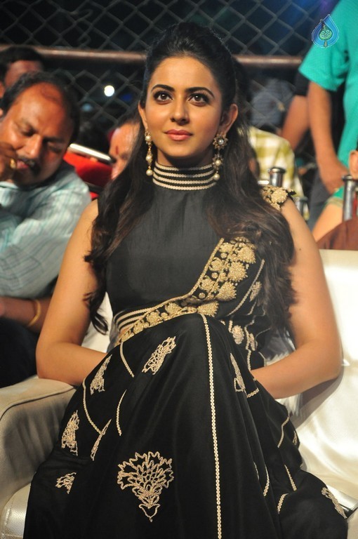 Rakul at Sarrainodu Blockbuster Function - 24 / 36 photos
