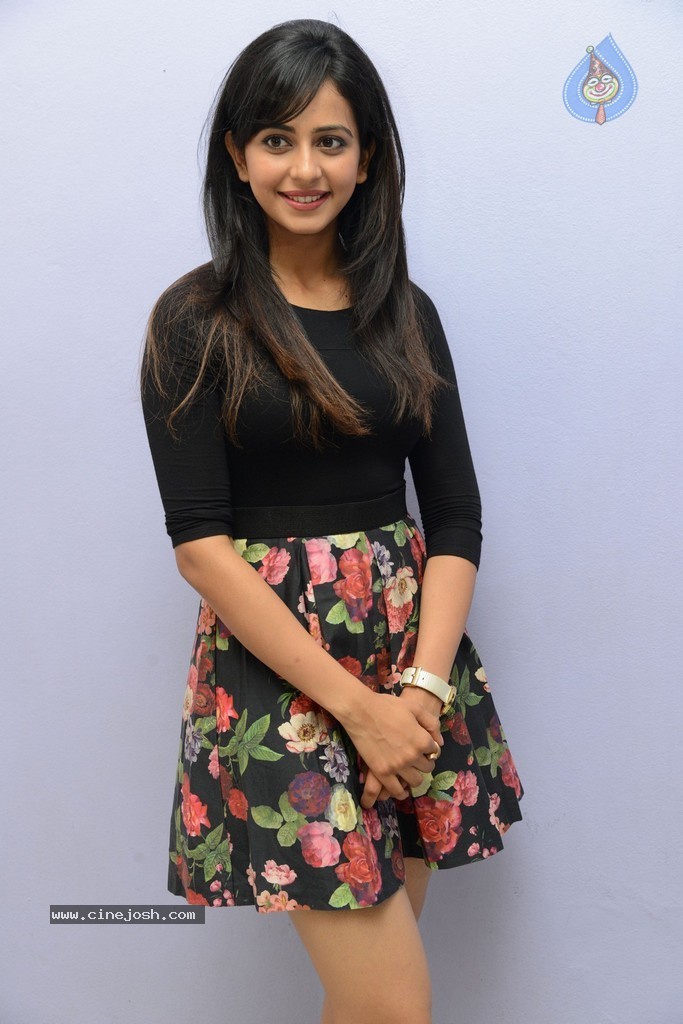 Rakul Preeth Singh at Rough Teaser Launch - 76 / 87 photos