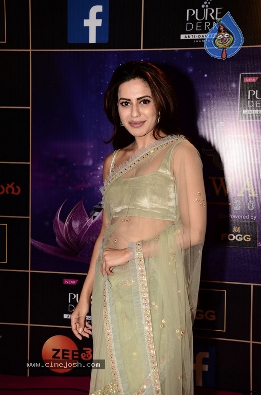 Ranya Rao At Zee Apsara Awards - 12 / 18 photos