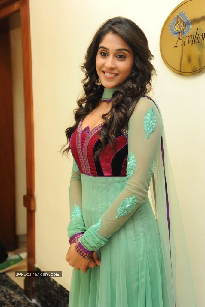 Regina at Sankara Audio Launch - 6 / 121 photos