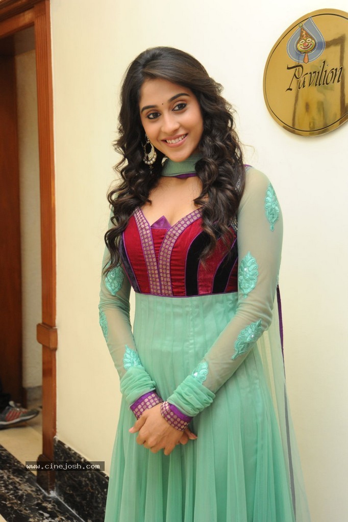 Regina at Sankara Audio Launch - 22 / 121 photos