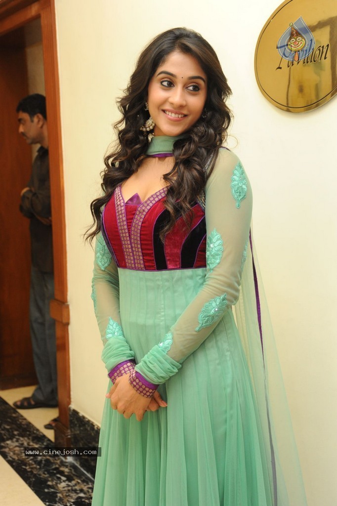 Regina at Sankara Audio Launch - 24 / 121 photos