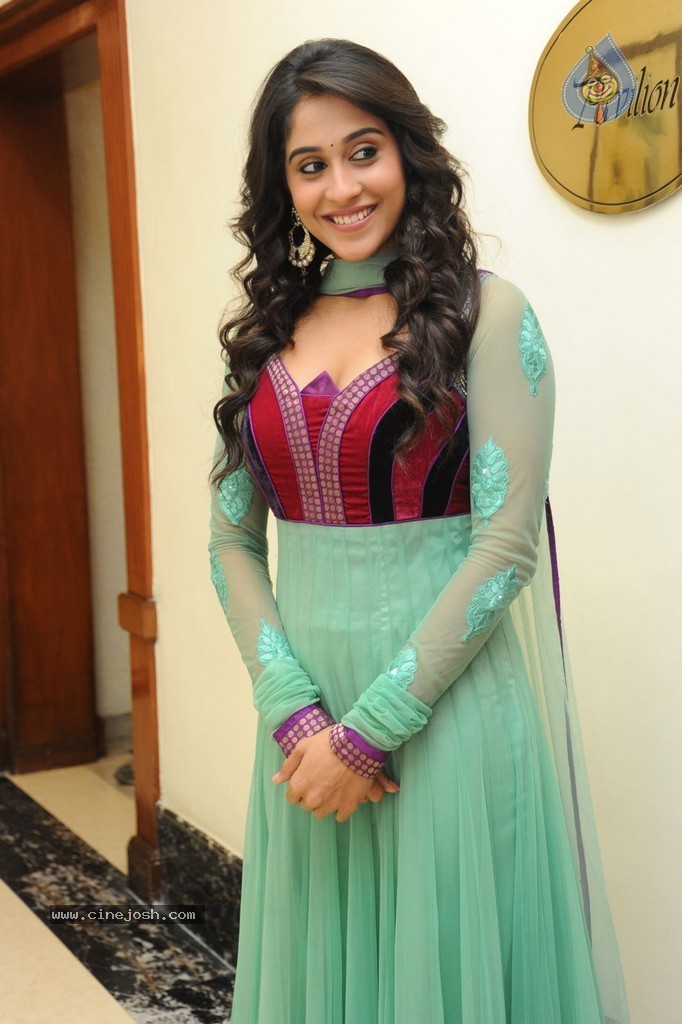 Regina at Sankara Audio Launch - 32 / 121 photos