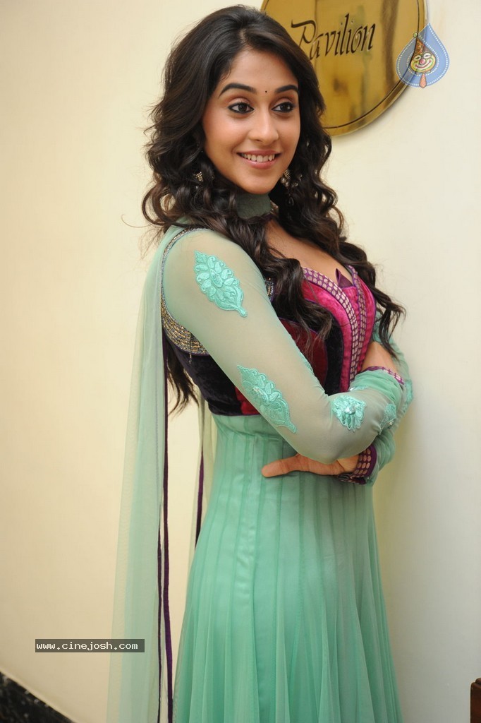 Regina at Sankara Audio Launch - 77 / 121 photos