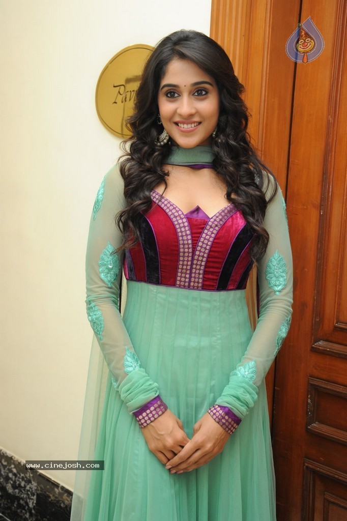 Regina at Sankara Audio Launch - 91 / 121 photos