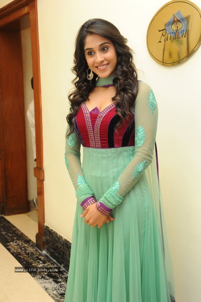 Regina at Sankara Audio Launch - 103 / 121 photos