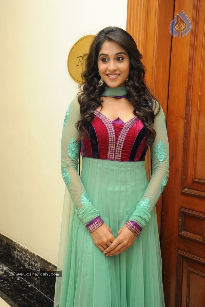 Regina at Sankara Audio Launch - 114 / 121 photos