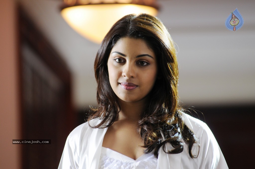 Richa Gangopadhyay Hot Gallery - 16 / 35 photos