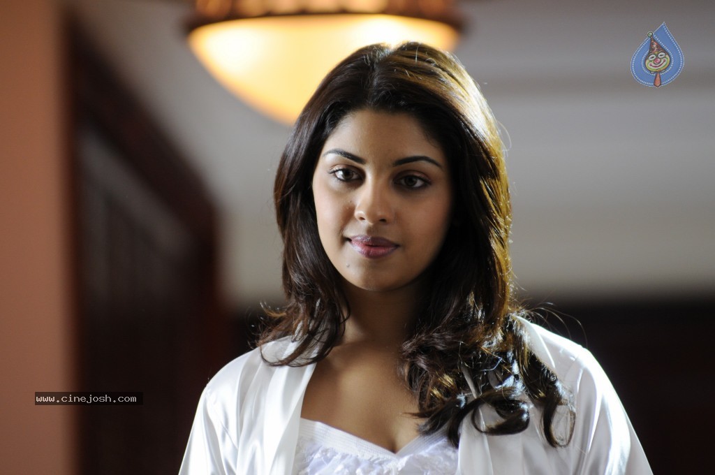 Richa Gangopadhyay Hot Gallery - 17 / 35 photos