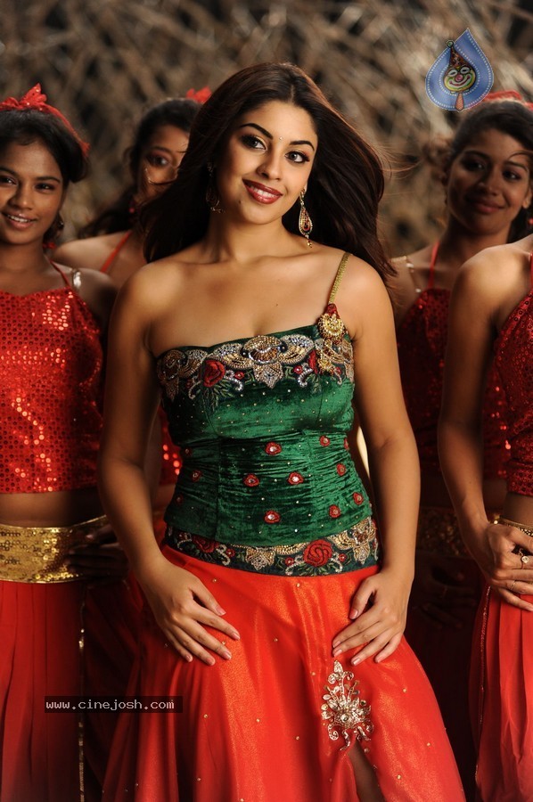 Richa Gangopadhyay Hot Stills - 66 / 77 photos