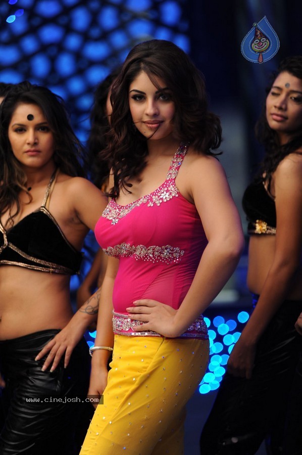 Richa Gangopadhyay Hot Stills - 73 / 77 photos