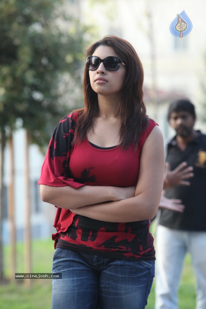 Richa Gangopadhyay New Spicy Stills - 29 / 29 photos
