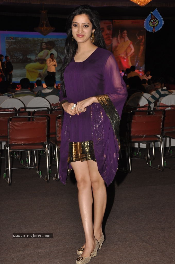 Richa Panai Hot Stills - 40 / 79 photos