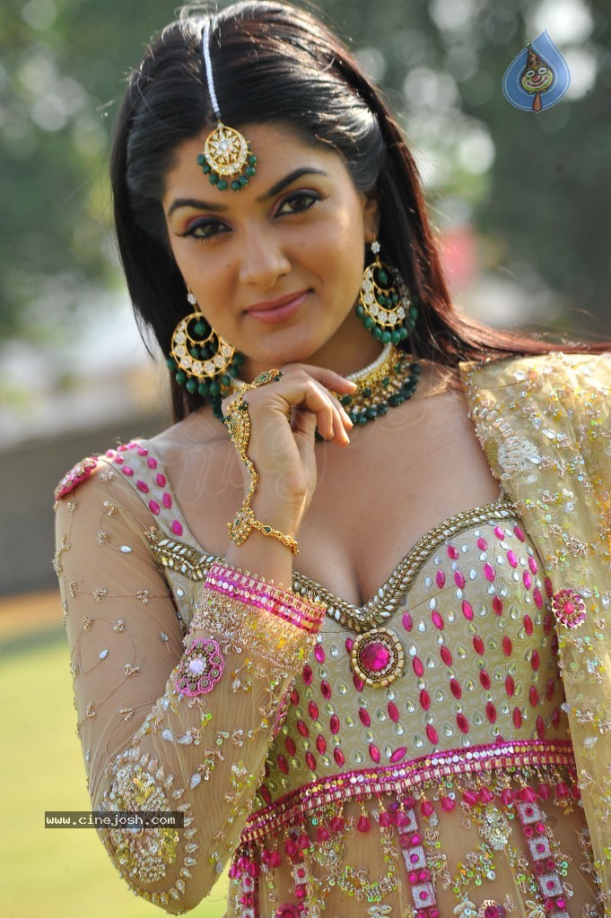 Sakshi Choudary Hot Gallery - 47 / 127 photos