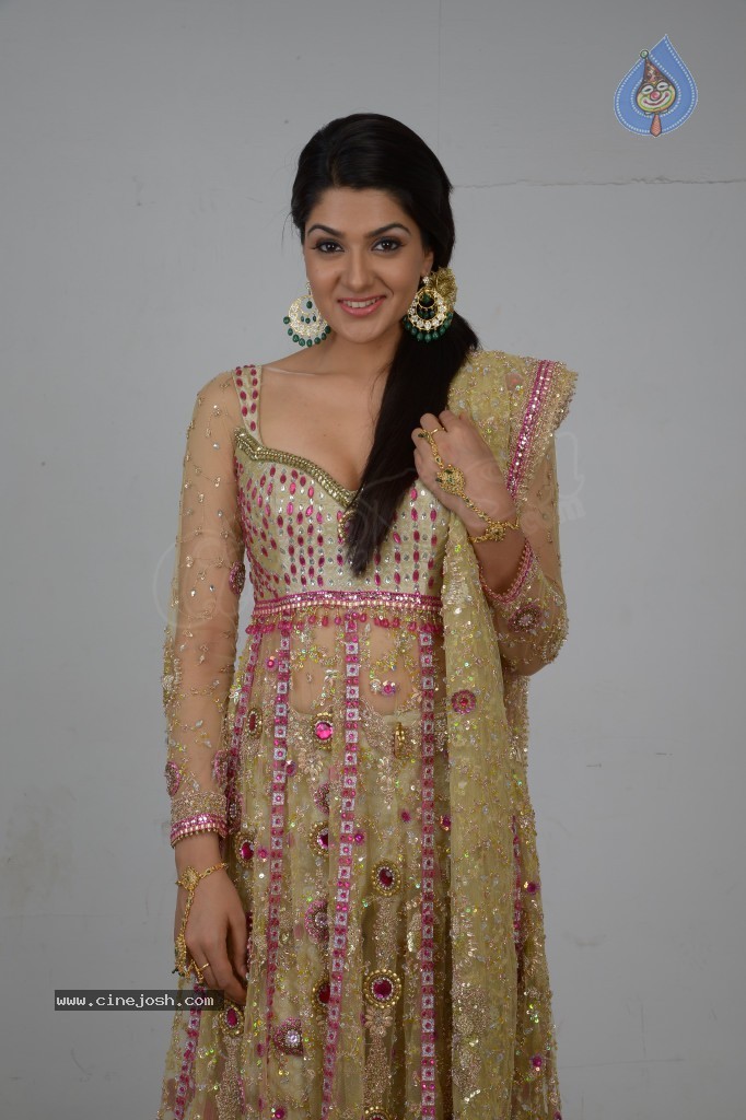 Sakshi Choudary Hot Gallery - 51 / 127 photos