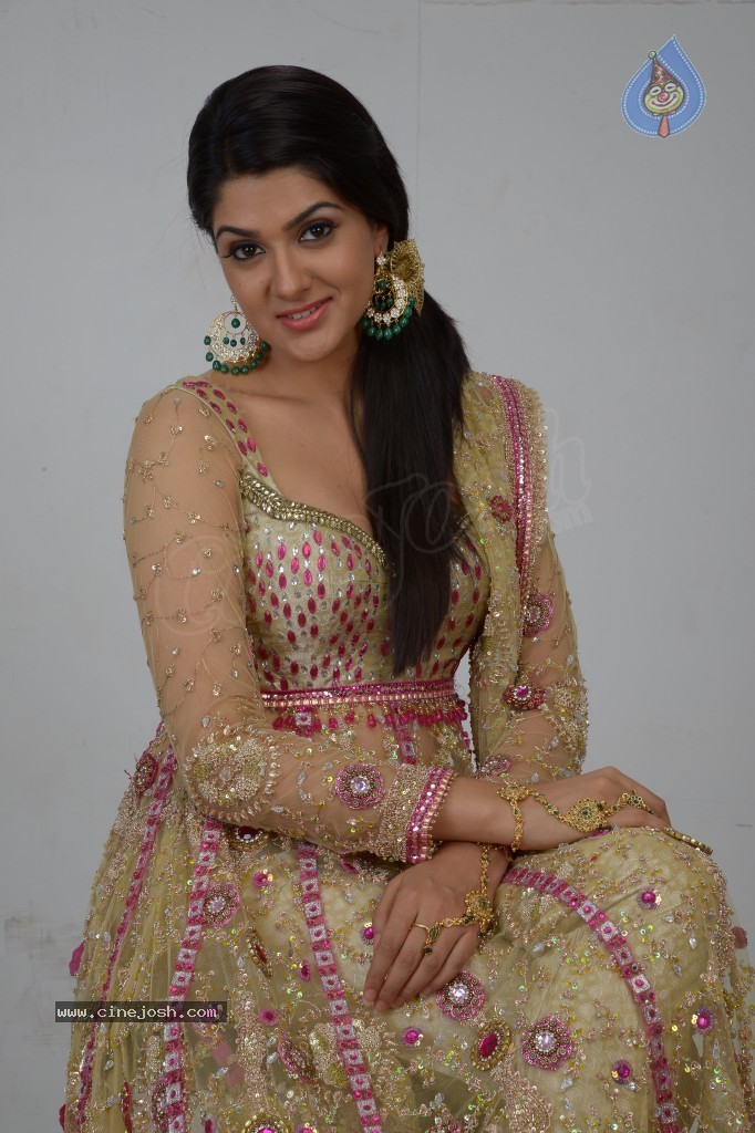 Sakshi Choudary Hot Gallery - 54 / 127 photos