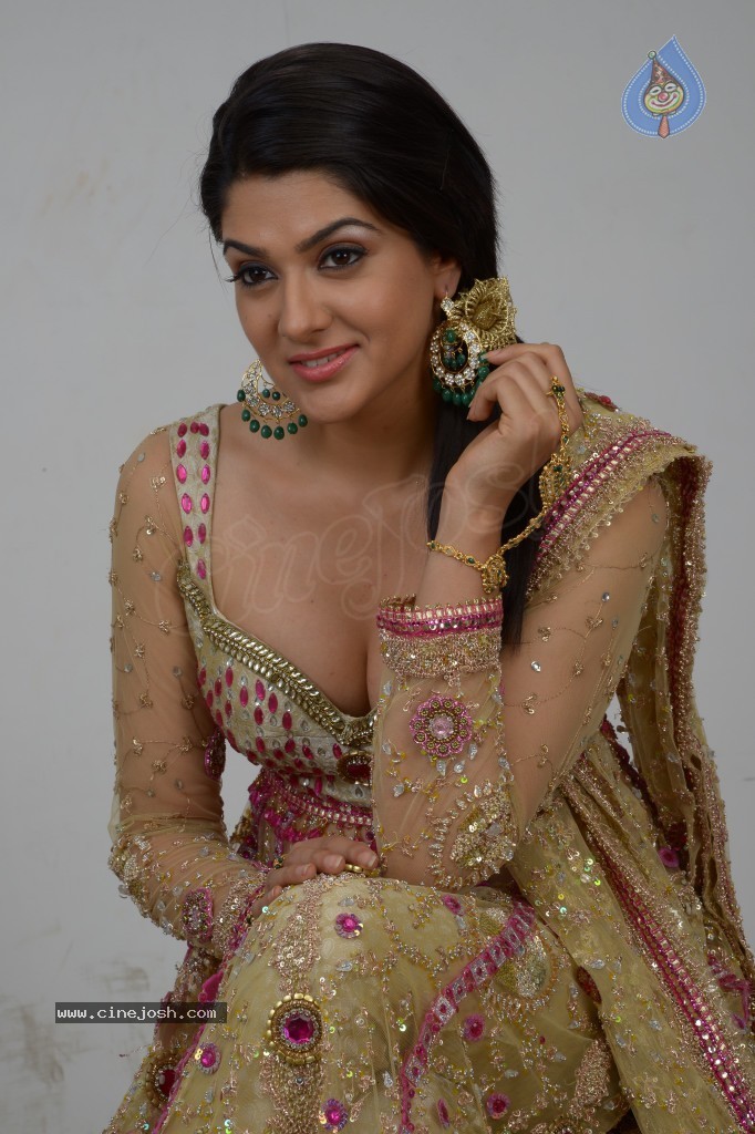 Sakshi Choudary Hot Gallery - 56 / 127 photos