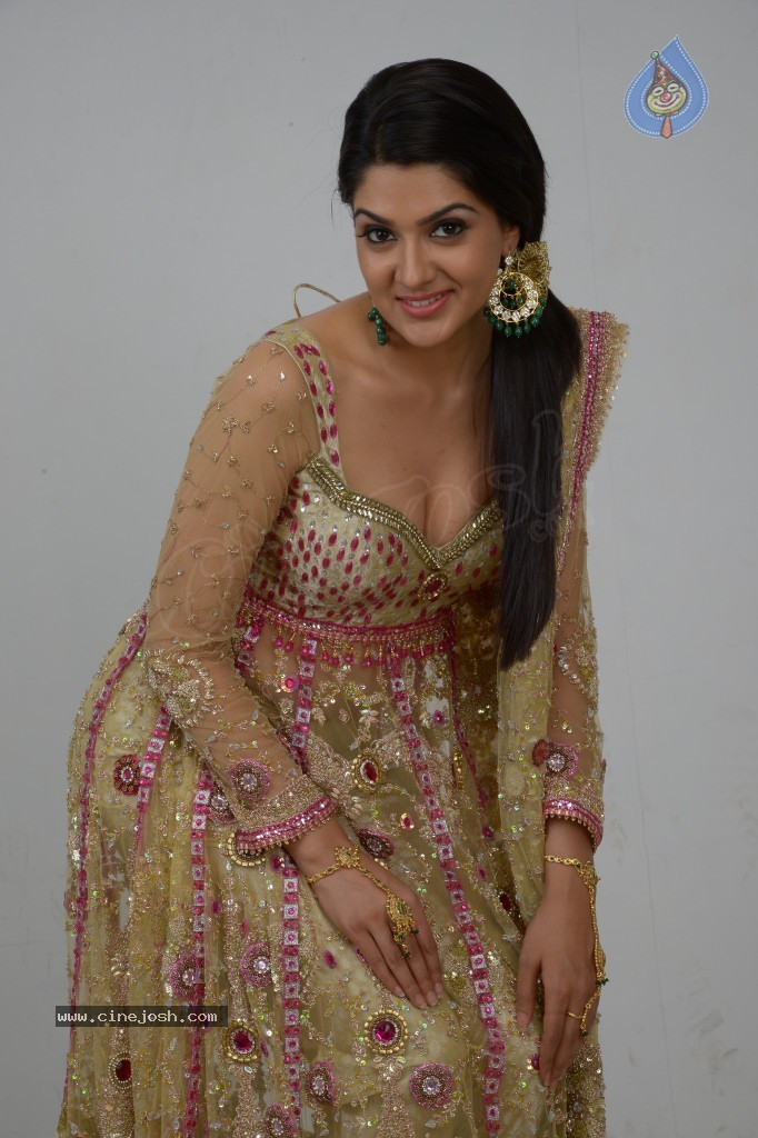 Sakshi Choudary Hot Gallery - 58 / 127 photos