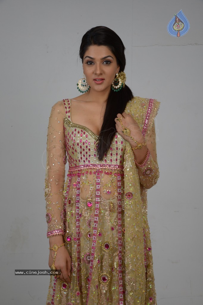 Sakshi Choudary Hot Gallery - 59 / 127 photos