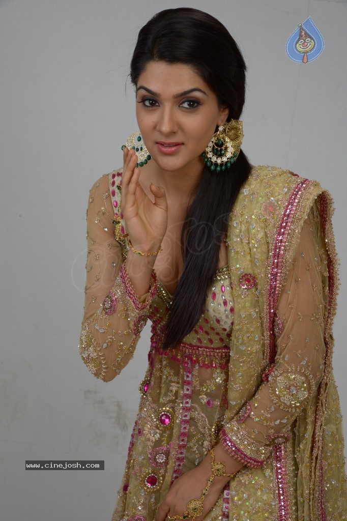 Sakshi Choudary Hot Gallery - 63 / 127 photos