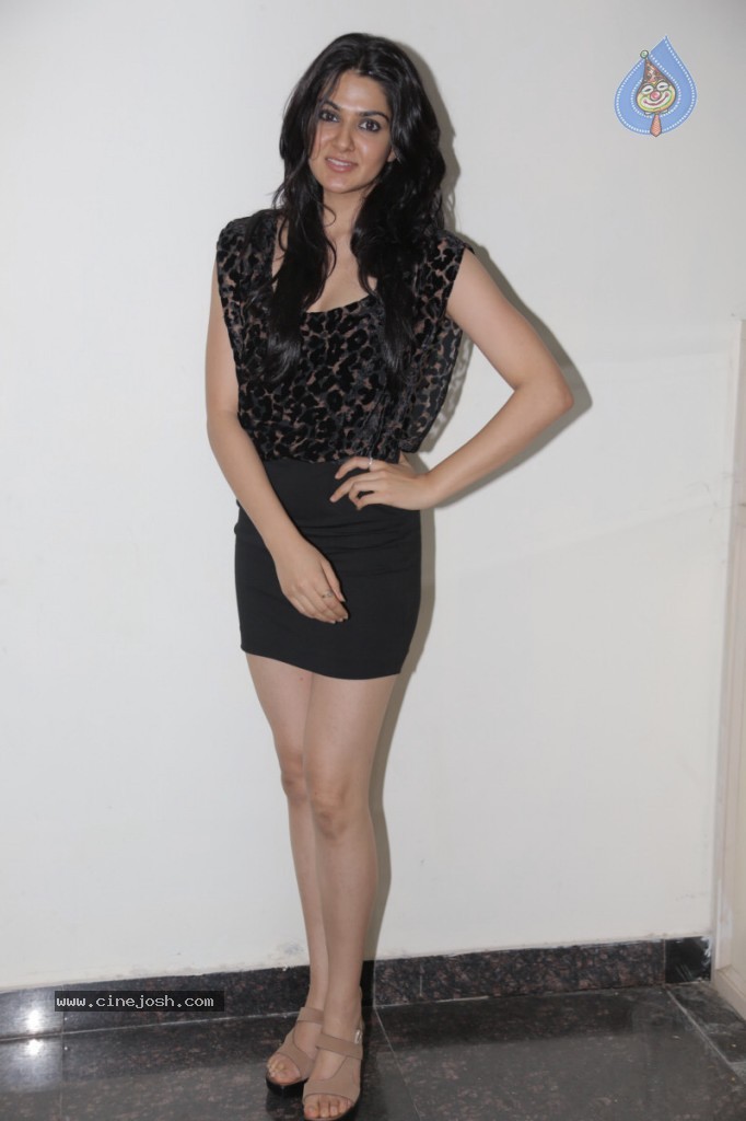 Sakshi Choudary Hot Gallery - 74 / 94 photos