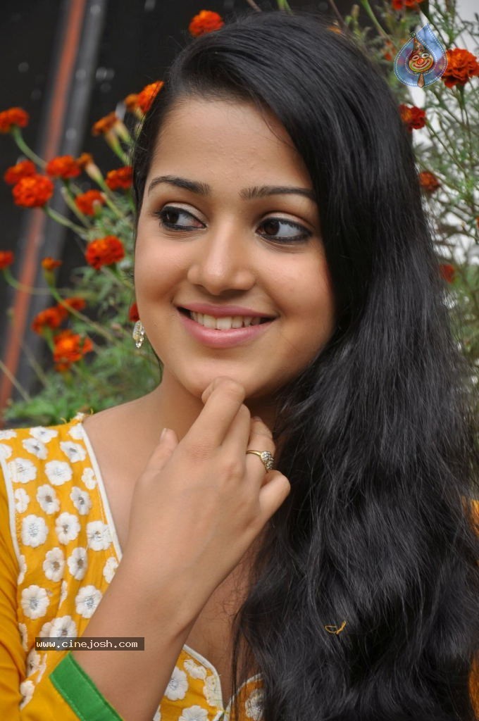 Samskruthy Stills - 67 / 105 photos