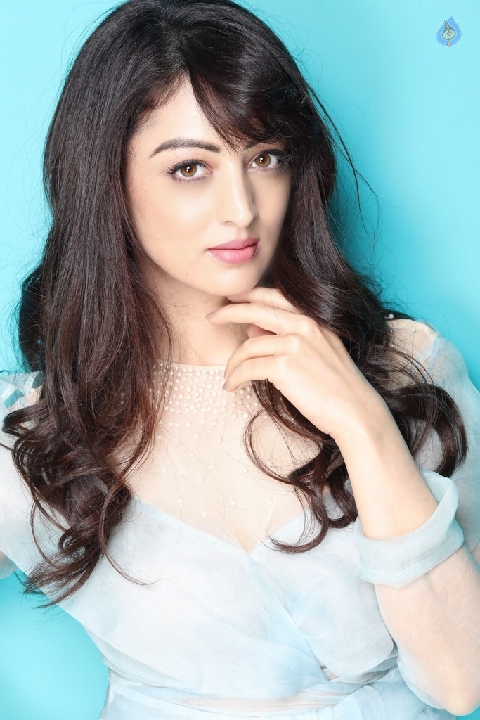 Sandeepa Dhar Photo Shoot Photos - 1 / 8 photos