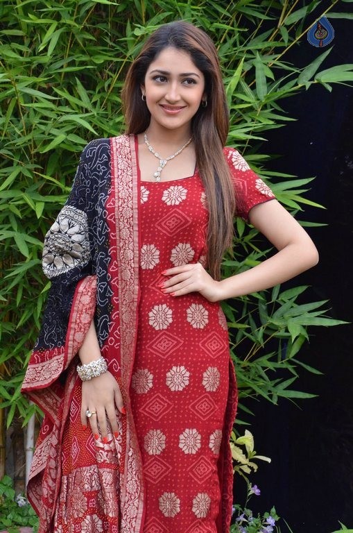 Sayyeshaa New Photos - 13 / 42 photos